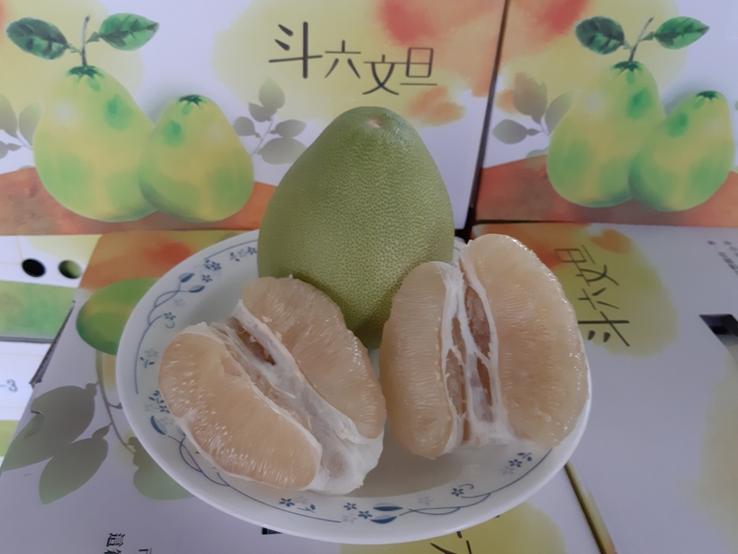 2019 大斗六文旦节 - 好吃好玩又好看,食在安心